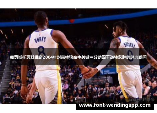 佩贾斯托贾科维奇2004年对森林狼命中关键三分助国王逆转获胜的经典瞬间