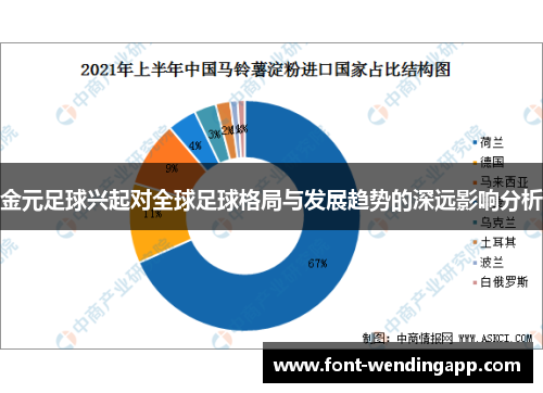 金元足球兴起对全球足球格局与发展趋势的深远影响分析
