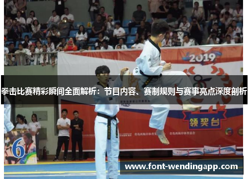 拳击比赛精彩瞬间全面解析：节目内容、赛制规则与赛事亮点深度剖析