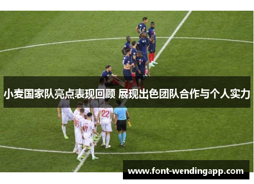 小麦国家队亮点表现回顾 展现出色团队合作与个人实力