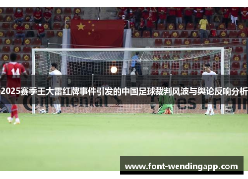 2025赛季王大雷红牌事件引发的中国足球裁判风波与舆论反响分析