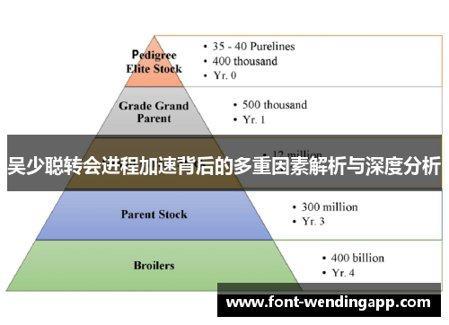 吴少聪转会进程加速背后的多重因素解析与深度分析