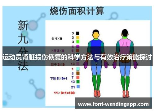 运动员肾脏损伤恢复的科学方法与有效治疗策略探讨