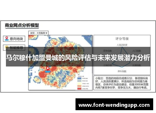 马尔穆什加盟曼城的风险评估与未来发展潜力分析