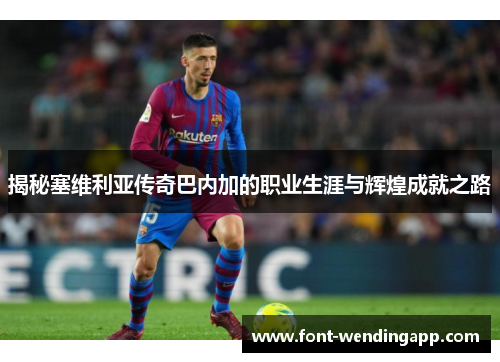 揭秘塞维利亚传奇巴内加的职业生涯与辉煌成就之路